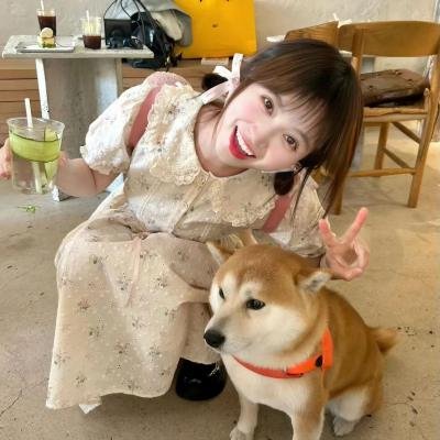 镜面奇情
